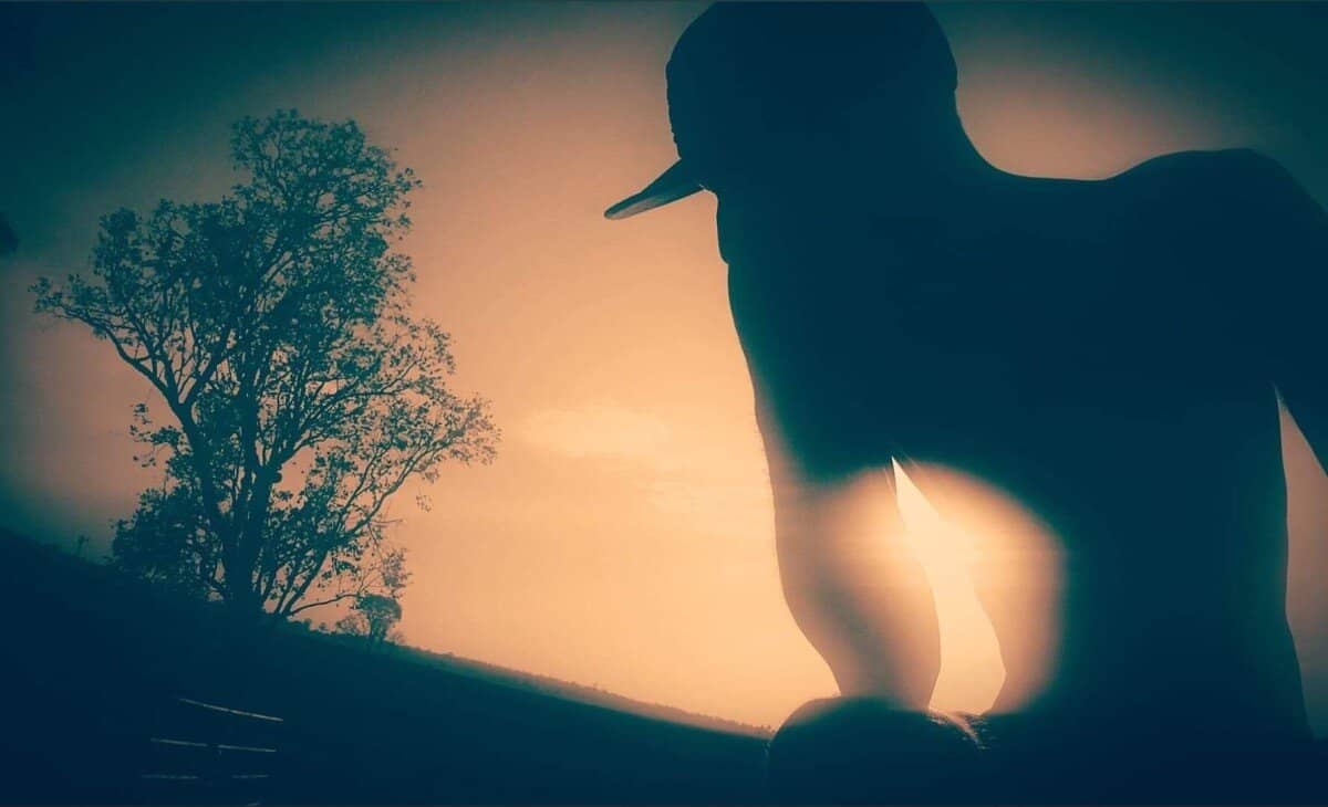 Aussieinked | @aussieinked