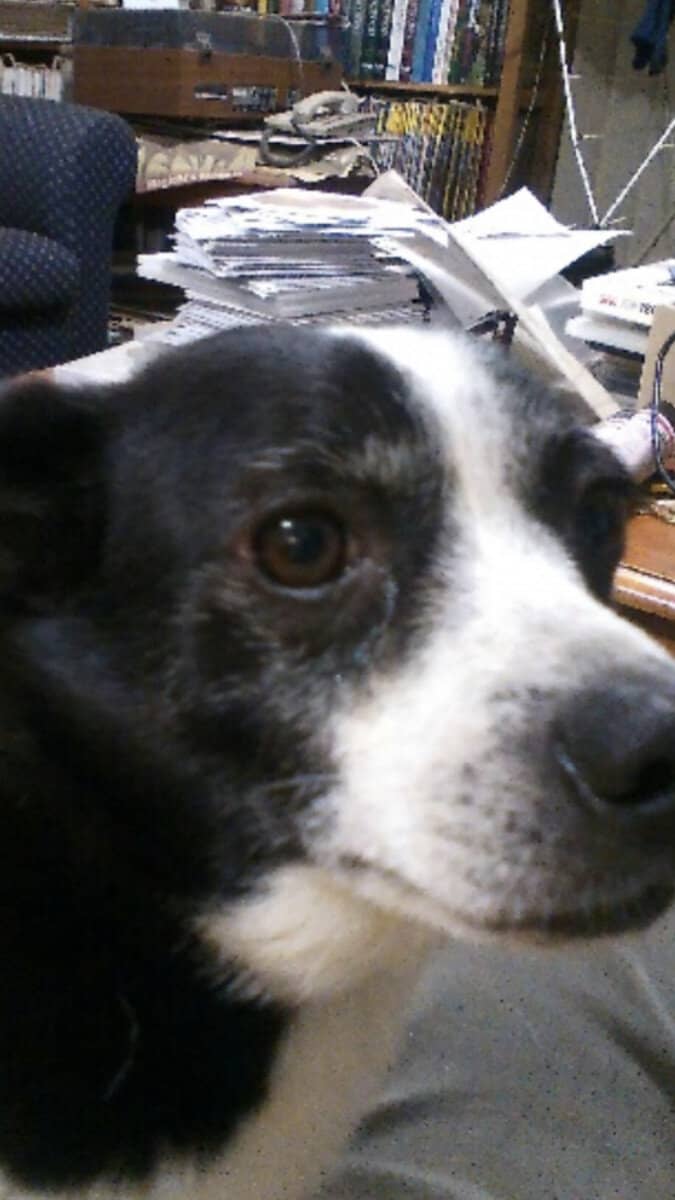 Themiurabull | @themiurabull